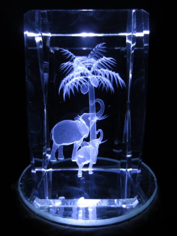 3d laserblok met 2 olifanten en palmboom