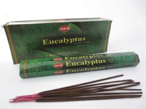 HEM - Eucalyptus - Wierookstokjes