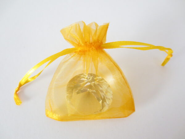 Organza Zakjes 10 x 15cm Goud