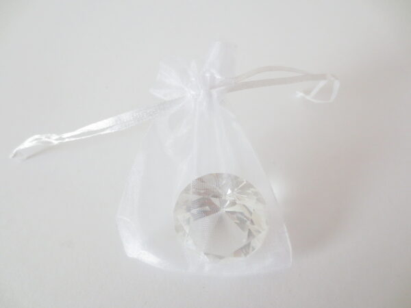 Organza Zakjes 10 x 15cm White