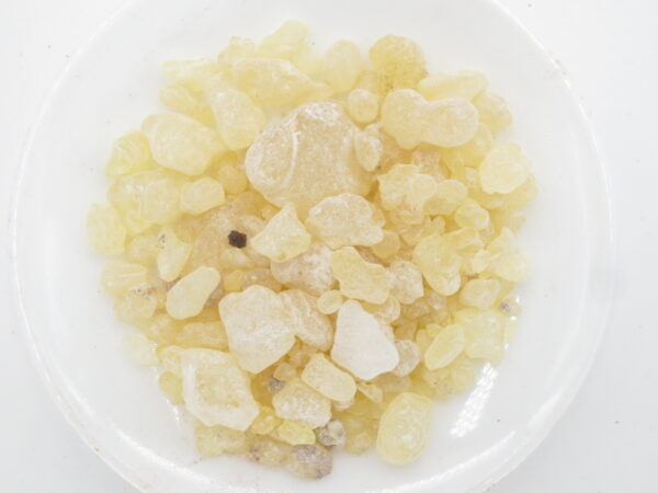 Resin Wierook - Gum Damar - 1000g