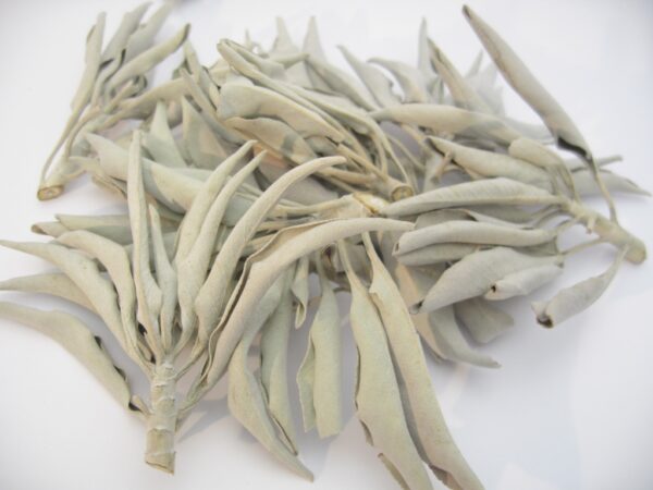 Witte Salie - Clusters - (25g)