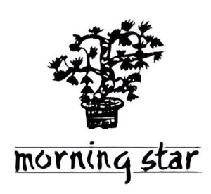 Morning Star Wierook - Miniatuur Stokjes