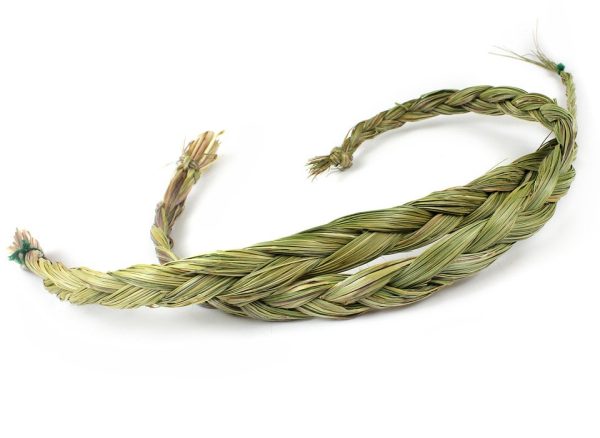 Groothandel - Sweetgrass AA kwaliteit (2 x 60-70 cm)