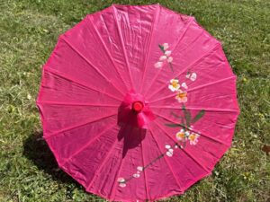 Chinese Parasol - Fuchsia (Klein)