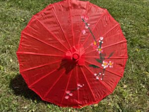 Chinese Parasol - Rood (Klein)