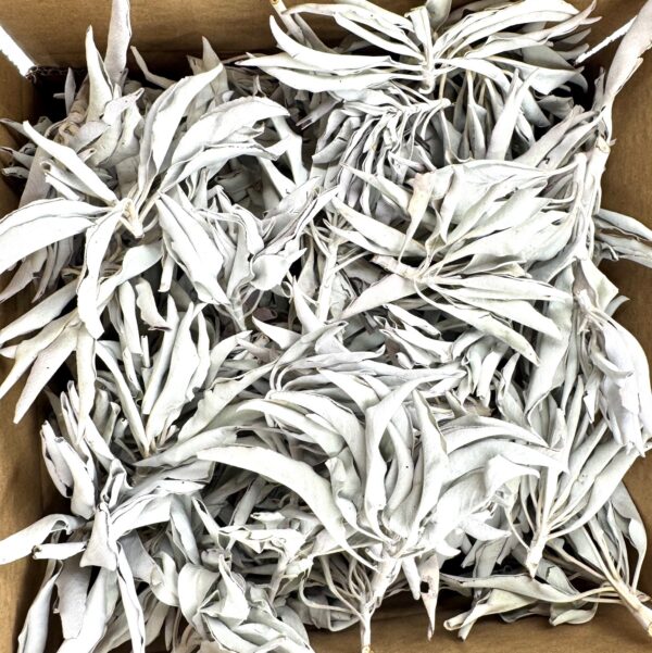 Witte Salie Cluster AA Kwaliteit - (1000g)