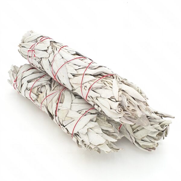 Witte Salie Smudge Stick Bundle 23 cm (3 x 50-60 g)