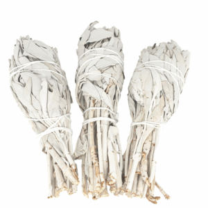 Witte Salie Tulip Bundel - (3 x 25 - 30 grams)