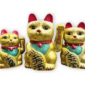 Gelukkige Glitterkat