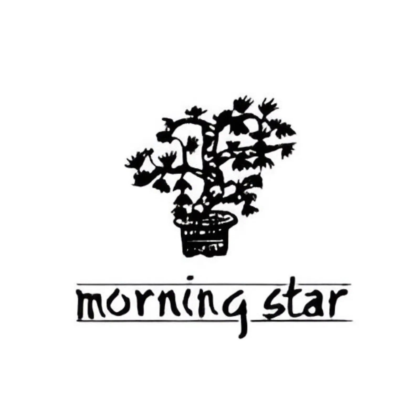 Morning Star Wierook