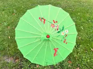 Chinese parasol - Groen (Klein)