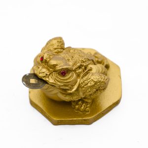 Goud Feng Shui Geldkikker Beeld